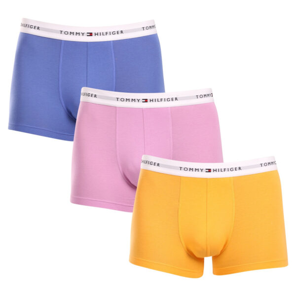 3PACK pánské boxerky Tommy Hilfiger vícebarevné (UM0UM02761 0VI) M