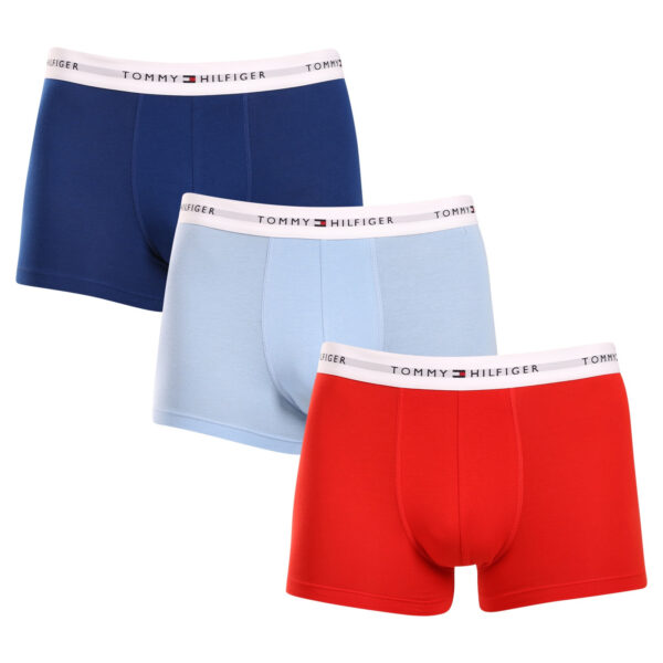 3PACK pánské boxerky Tommy Hilfiger vícebarevné (UM0UM02761 0XZ) L