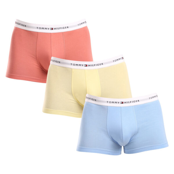 3PACK pánské boxerky Tommy Hilfiger vícebarevné (UM0UM02761 0XM) S