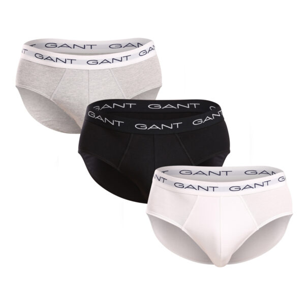 3PACK pánské slipy Gant vícebarevné (900013001-093) 3XL