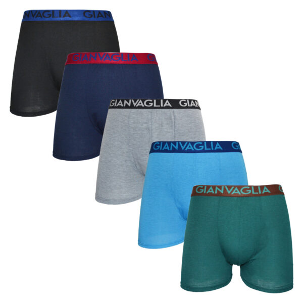 5PACK pánské boxerky Gianvaglia vícebarevné (024) L