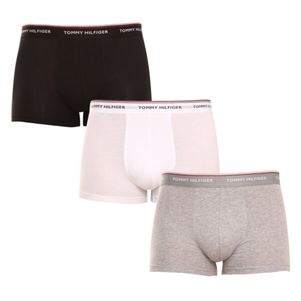 3PACK pánské boxerky Tommy Hilfiger vícebarevná (1U87903842 004) XXL