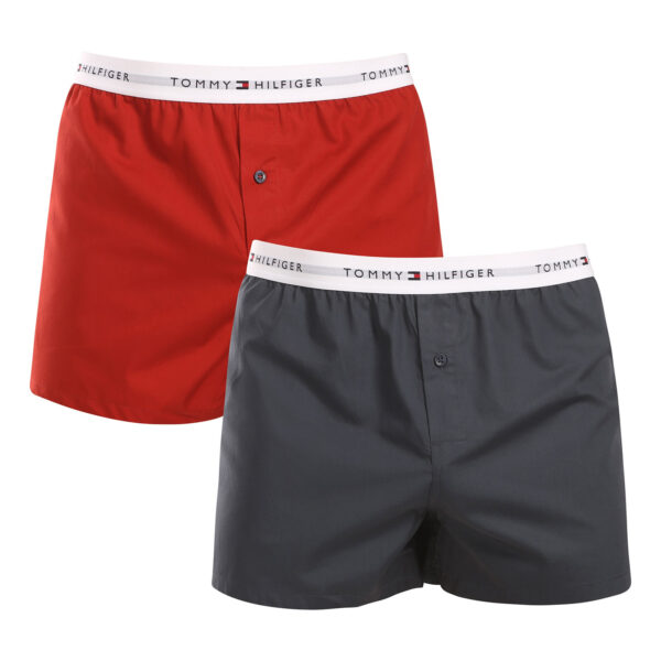 2PACK pánské trenky Tommy Hilfiger vícebarevné (UM0UM03376 0WQ) S