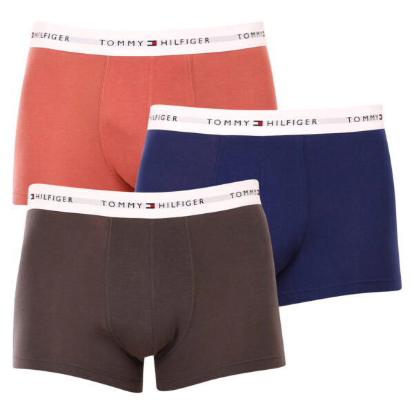 3PACK pánské boxerky Tommy Hilfiger vícebarevné (UM0UM02761 0TF) M