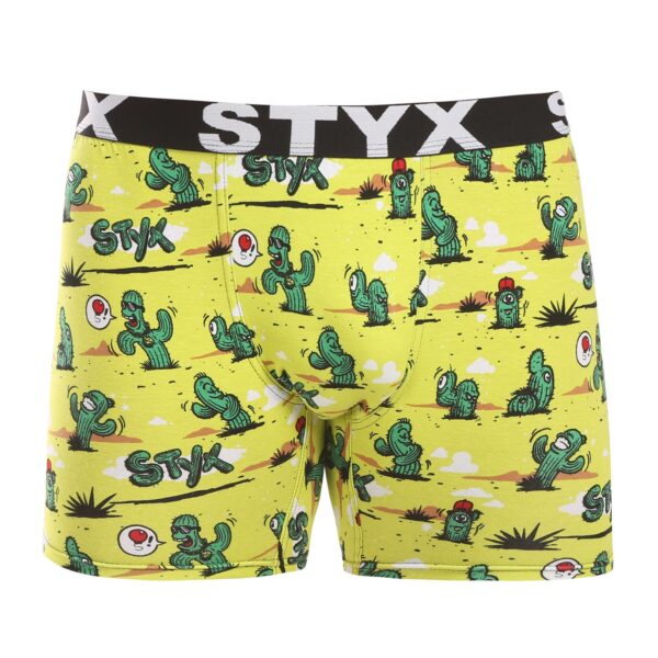 Pánské boxerky Styx long art sportovní guma kaktusy (UN1351) L