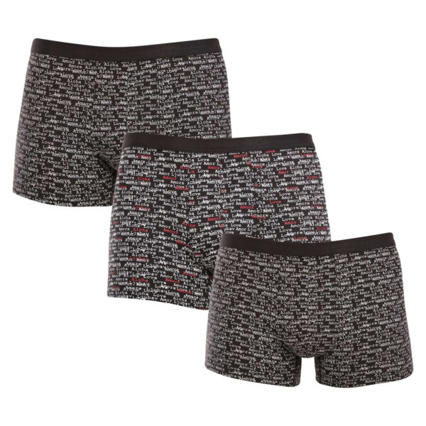 3PACK pánské boxerky Andrie vícebarevné (PS 5800) L