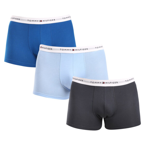 3PACK pánské boxerky Tommy Hilfiger vícebarevné (UM0UM02761 0UE) S