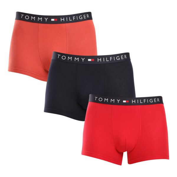 3PACK pánské boxerky Tommy Hilfiger vícebarevné (UM0UM03180 0RW) L