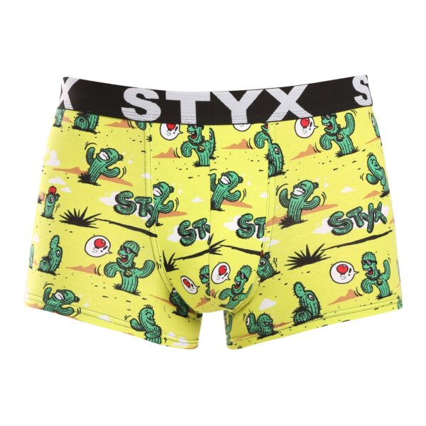 Pánské boxerky Styx art sportovní guma kaktusy (G1351) L