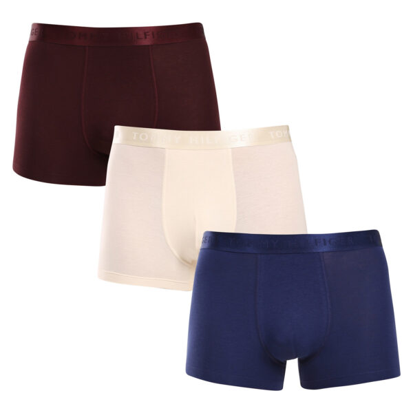 3PACK pánské boxerky Tommy Hilfiger vícebarevné (UM0UM02760 0WY) XXL