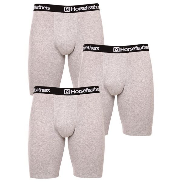 3PACK pánské boxerky Horsefeathers Dynasty long (AM195C) M