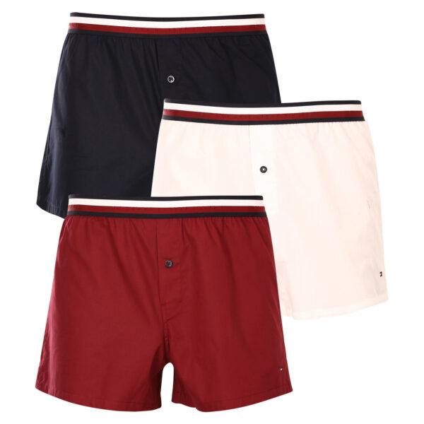 Poškozený obal - 3PACK pánské trenky Tommy Hilfiger vícebarevné (UM0UM03121 0XU) M